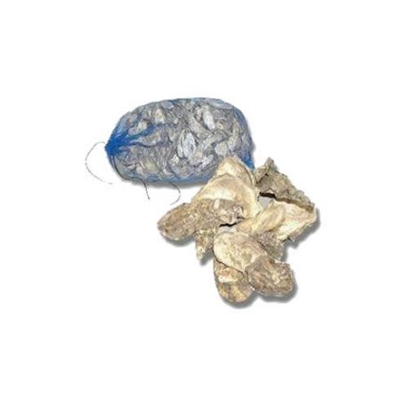 Oyster Shells - Cotswold koi - Filter media - Pond Filtration