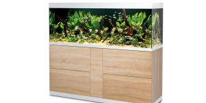 Aquarium Supplies